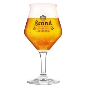 Brand Bovengister Bierglas - 25cl - Teku Model - Origineel